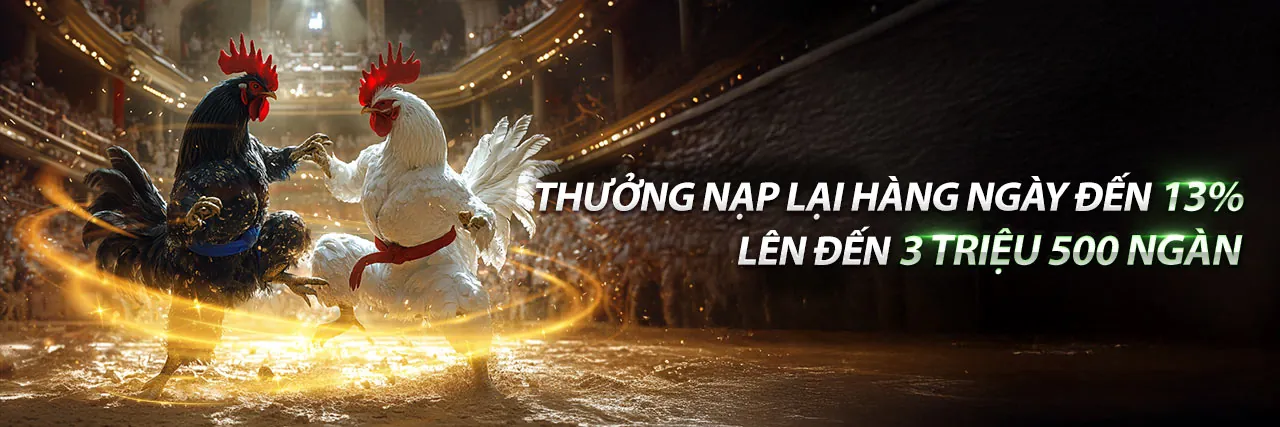 Đá gà trực tuyến n8bet win
