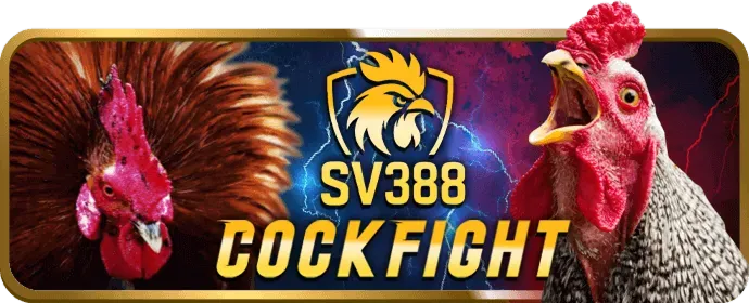 Điền thông tin đăng ký n8bet win